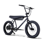 Ripster